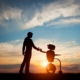 A robot and a human holding hands while walking with a sunset behind them.